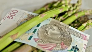 Szparagi, pieczarki, koperek czekają na chętnych. Praca od zaraz, a wynagrodzenie godne pozazdroszczenia