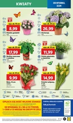 Tydzień pełen smaku i oszczędności – Lidl