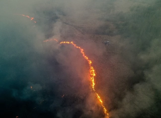 Pożar w Biebrzańskim Parku Narodowym Pożar w Biebrzańskim Parku Narodowym