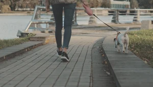 Czy podczas L4 można wyjść na spacer?