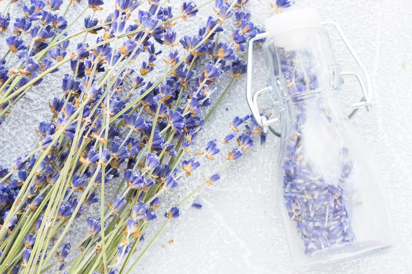 Lawenda nada praniu naturalnego aromatu. 