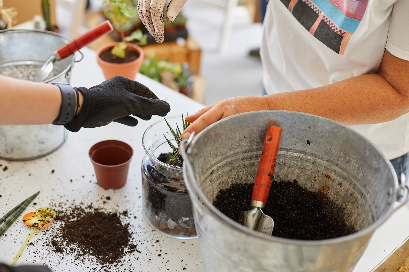 Osoby sadzące rośliny w doniczce, widoczne ręce w rękawiczkach, ziemia ogrodnicza i narzędzia w dużym metalowym wiadrze.