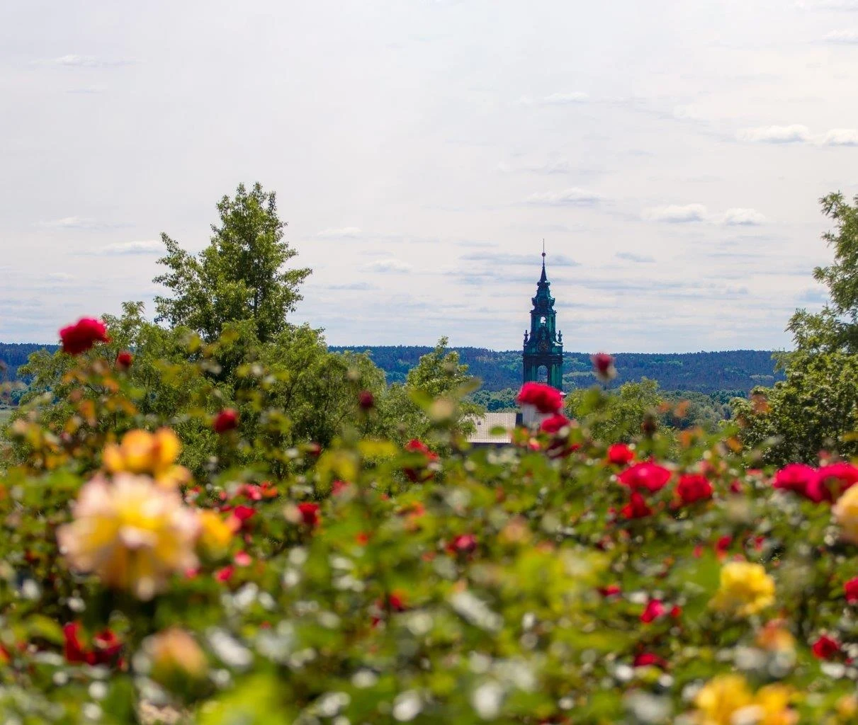 Wieża widoczna w oddali na tle panoramicznego widoku z czerwonymi i żółtymi różami na pierwszym planie oraz drzewami po bokach.