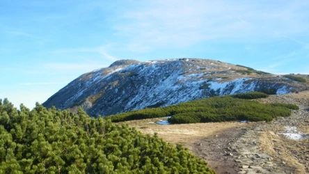 Kapryśnica, Diablak albo Babia Góra. To miejsce o unikatowej przyrodzie