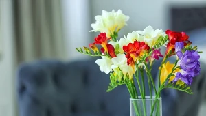 To najlepsze kwiaty do wazonu. Postoją kilka tygodni i mają obłędny zapach