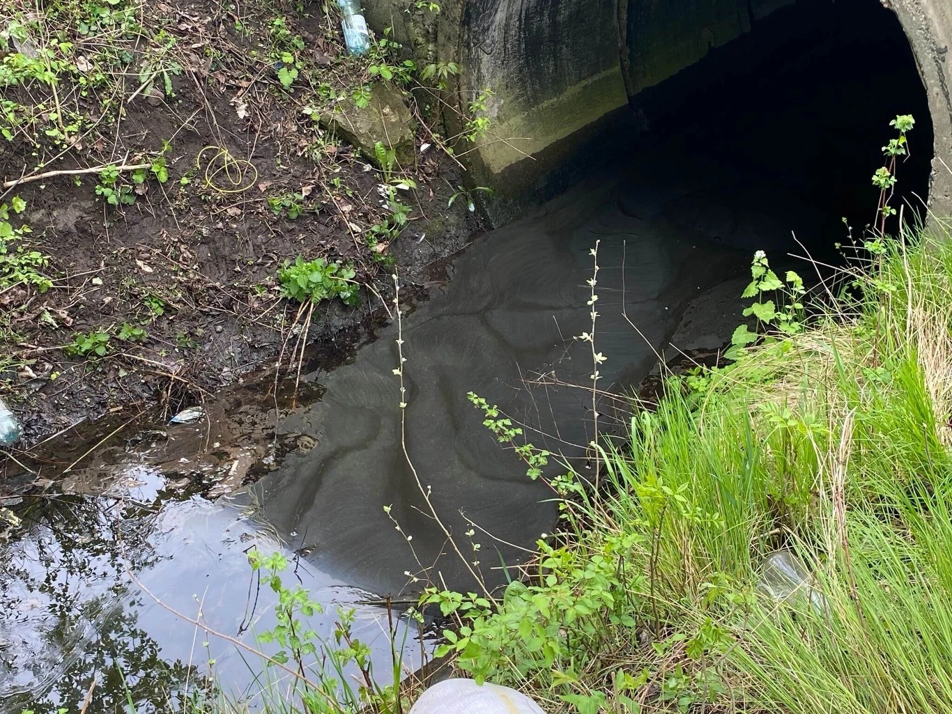 Wodny rów z roślinnością, z ciemnym tunelem betonowym, z którego wypływa woda. Otoczenie zarośnięte trawą.