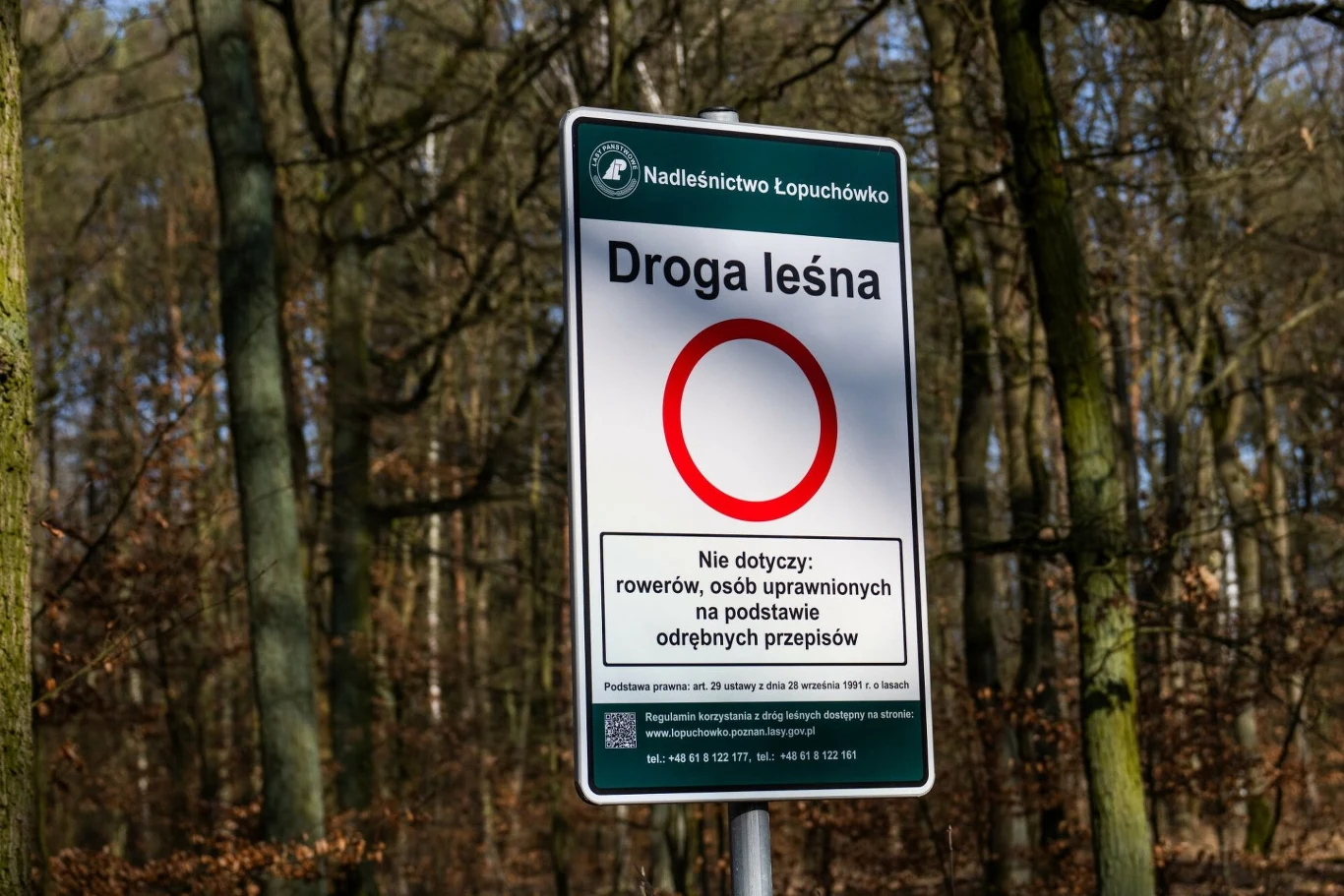 Brak szlabanów przy drodze leśnej nie zawsze oznacza, że można z niej korzystać. znak droga leśna na tle lasu