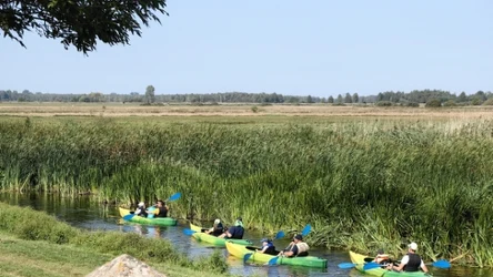 Bon rozszedł się jak świeże bułeczki. Wiadomo, kiedy będzie druga tura