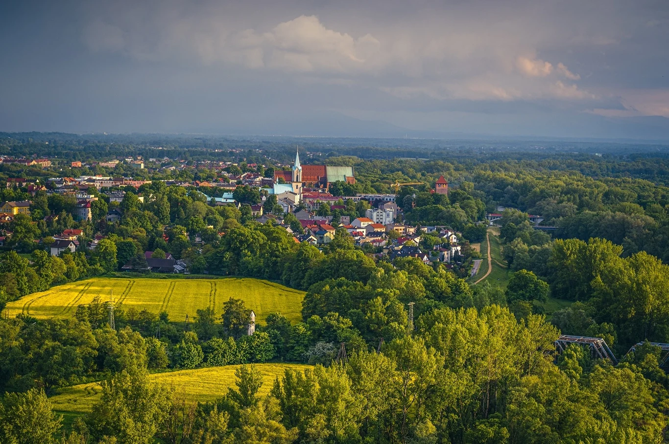 Czyste Zielone Miasta fot. UM Oświęcim