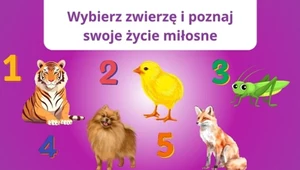 Psychotest: Jakim jesteś partnerem w romantycznej relacji? Sprawdź to!