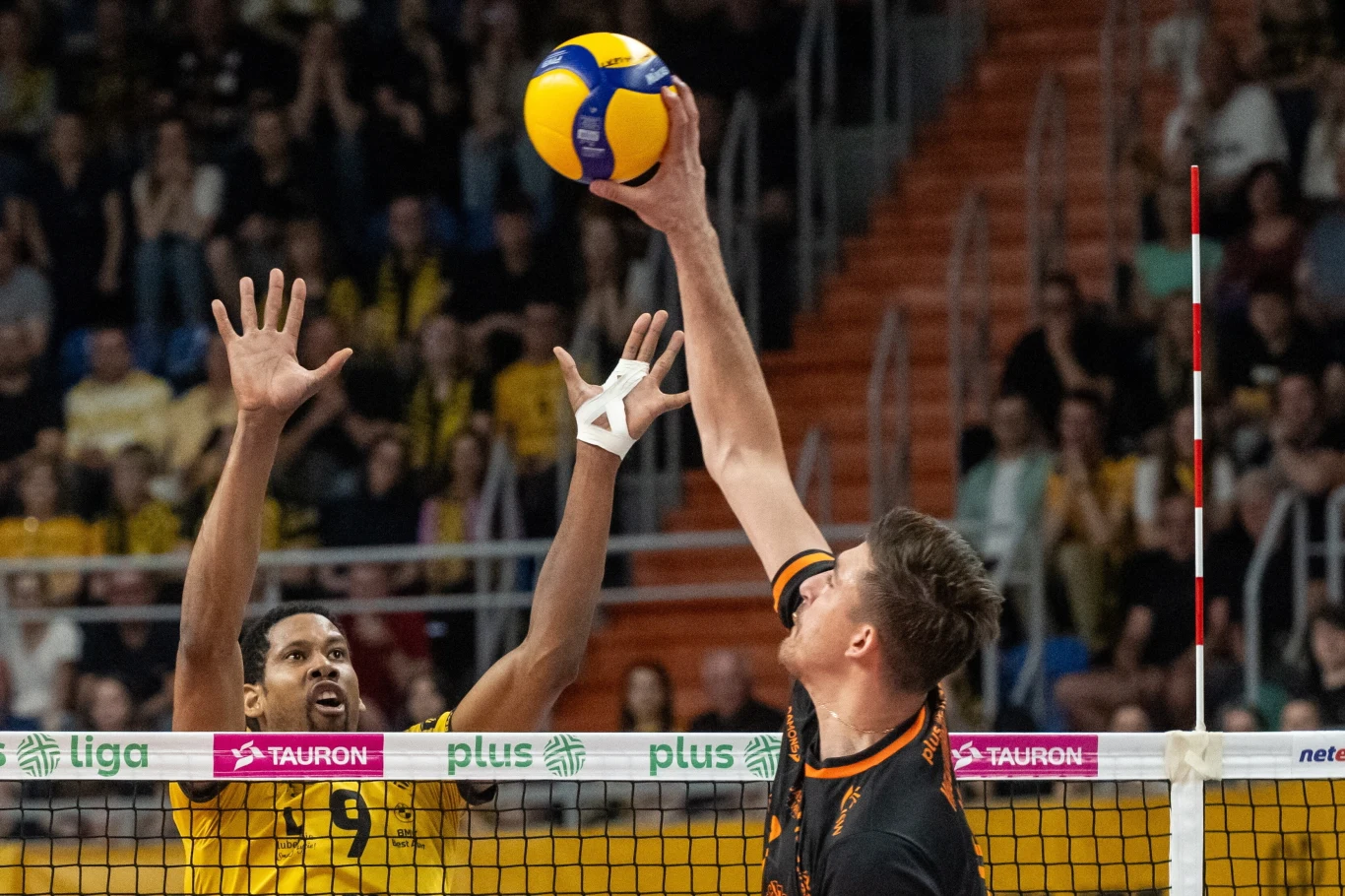 Łukasz Kaczmarek kontra Wilfredo Leon