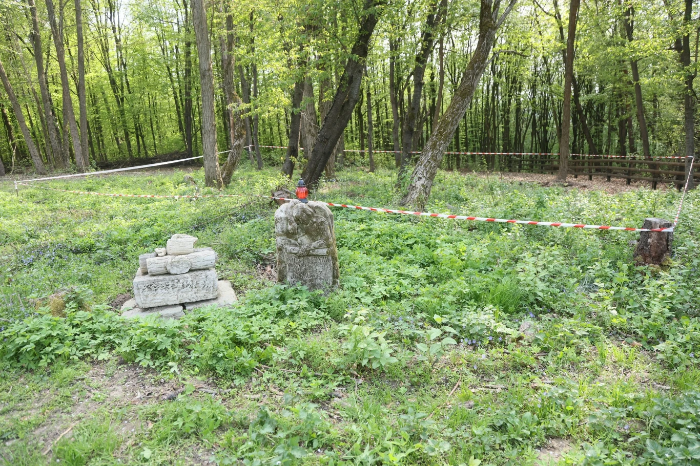 Ruszają prace ekshumacyjne w Puźnikach Kamienna tablica lub pomnik w lesie otoczony taśmą zabezpieczającą. Wokół bujna roślinność i drzewostan. Widoczna część lasu jest ogrodzona, co sugeruje kontrolowany dostęp do tego obszaru.