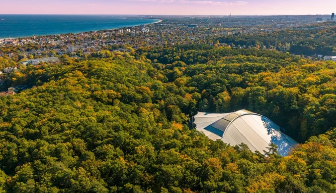 Czyste Zielone Miasta fot. UM Sopot