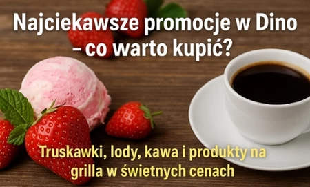 Najciekawsze promocje w Dino – co warto kupić?