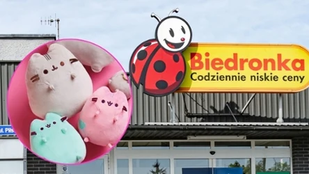 Sprawdź nowość z gazetki Biedronki! Ogromna kolekcja Pusheen już dostępna w sklepach!