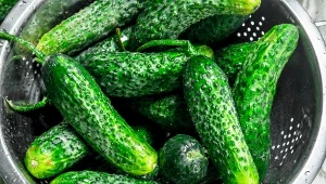 Przygotuj te małosolne na majówkę. 24 godziny i są gotowe