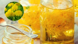 Przynieś chwast z ogrodu i zrób z niego syrop. To prawdziwa bomba witaminowa