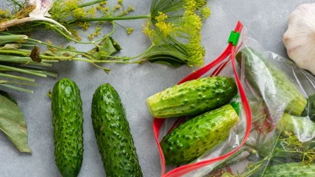 Ogórki małosolne robione metodą "na sucho". 