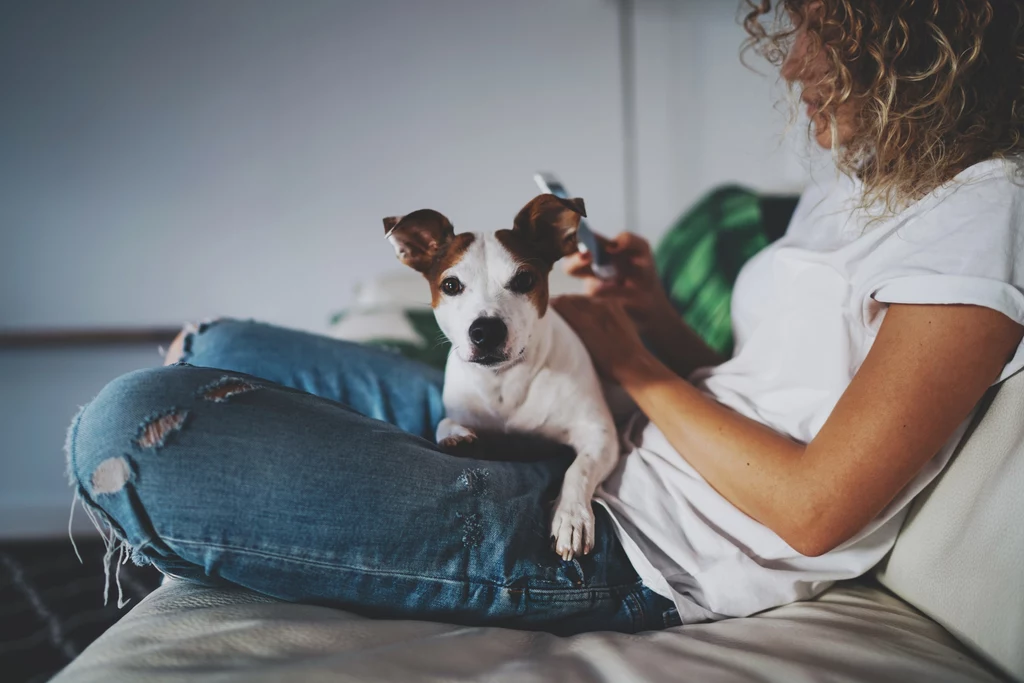 Psy rozumieją więcej, niż nam się wydaje. Dlatego lepiej uważać na to, co mówi się w jego obecności Psy rozumieją więcej, niż nam się wydaje. Dlatego lepiej uważać na to, co mówi się w jego obecności