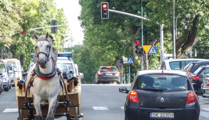 Meleksy zamiast koni w Zakopanem? Ostra reakcja urzędników i dorożkarzy