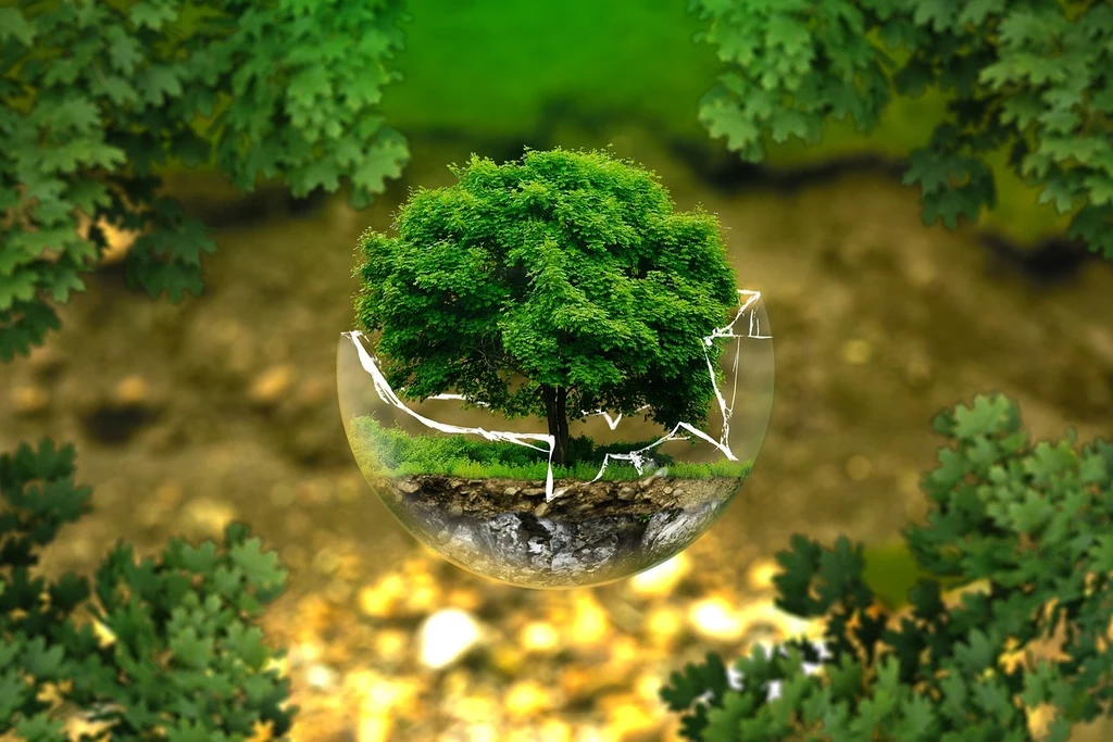 Fot. pixabay.com/ AndreasAux
