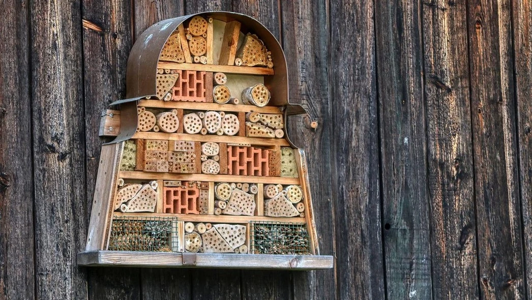 Domek dla owadów zbudowany z różnych materiałów, takich jak kawałki drewna, cegły i trzcina, zamontowany na drewnianej ścianie. Konstrukcja jest zróżnicowana, co umożliwia zamieszkanie różnym gatunkom owadów.