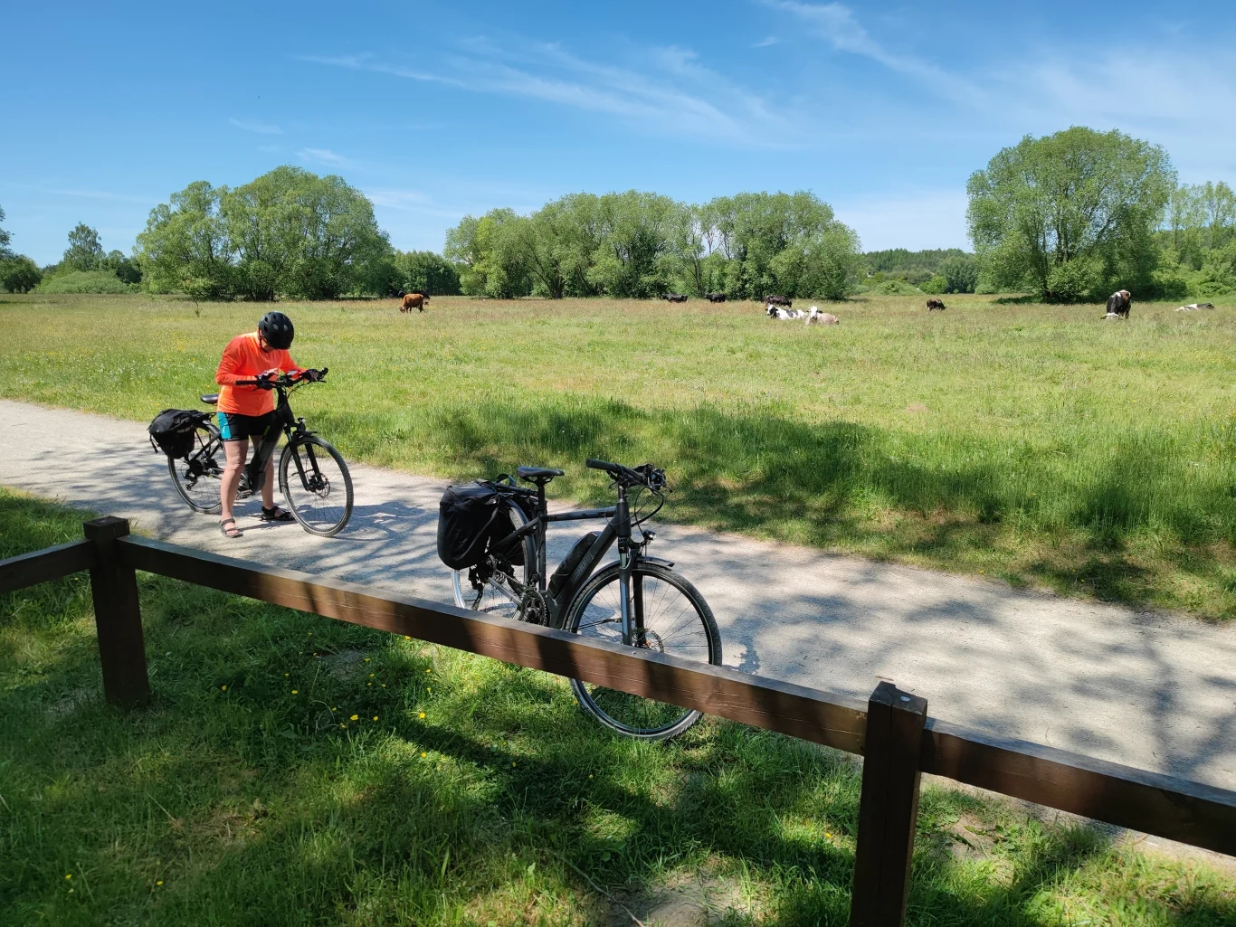 Majówka na rowerze może być świetnym pomysłem na aktywny wypoczynek. Między innymi Wielkopolska oferuje wiele atrakcyjnych szlaków rowerowych. Które warto wziąć pod uwagę? Majówka na rowerze może być świetnym pomysłem na aktywny wypoczynek. Między innymi Wielkopolska oferuje wiele atrakcyjnych szlaków rowerowych. Które warto wziąć pod uwagę?