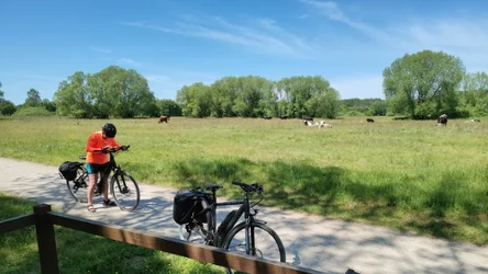 Majówka na rowerze może być świetnym pomysłem na aktywny wypoczynek. Między innymi Wielkopolska oferuje wiele atrakcyjnych szlaków rowerowych. Które warto wziąć pod uwagę?