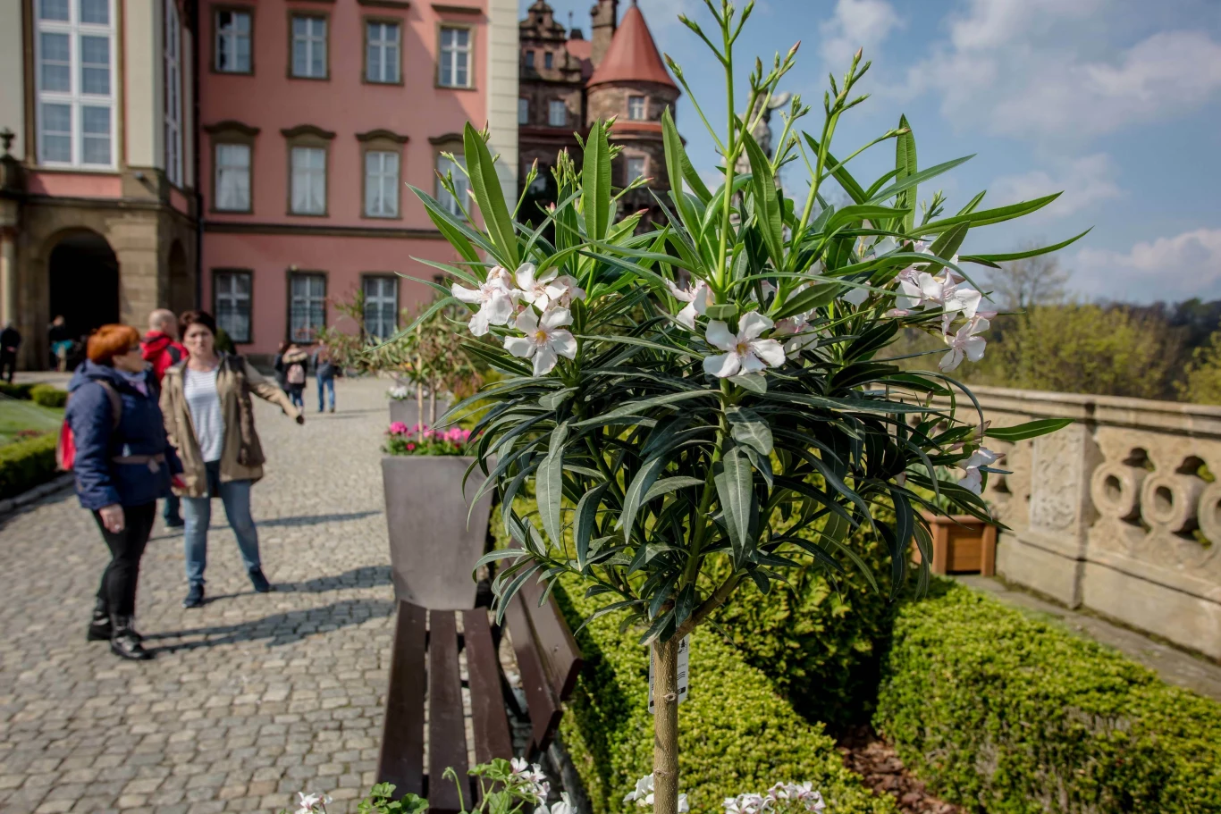 Zamek Książ zaprasza na majówkę pełną kolorów i kwiatów. Od 30 kwietnia do 4 maja odbędzie się tam XXXV Festiwal Kwiatów i Sztuki.