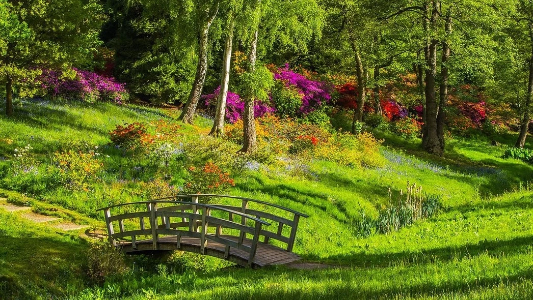 Drewniany mostek nad małym strumykiem otoczony kolorowymi kwiatami i bujną zielenią w słonecznym parku.