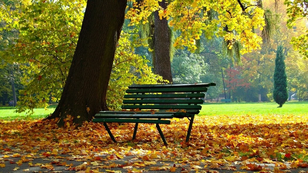 Fot.pixabay.com/ DzidekLasek Drewniana ławka w parku otoczona jesiennymi liśćmi, otoczona kolorowymi drzewami w pełnym rozkwicie złotych i pomarańczowych barw, tworzących spokojną atmosferę.