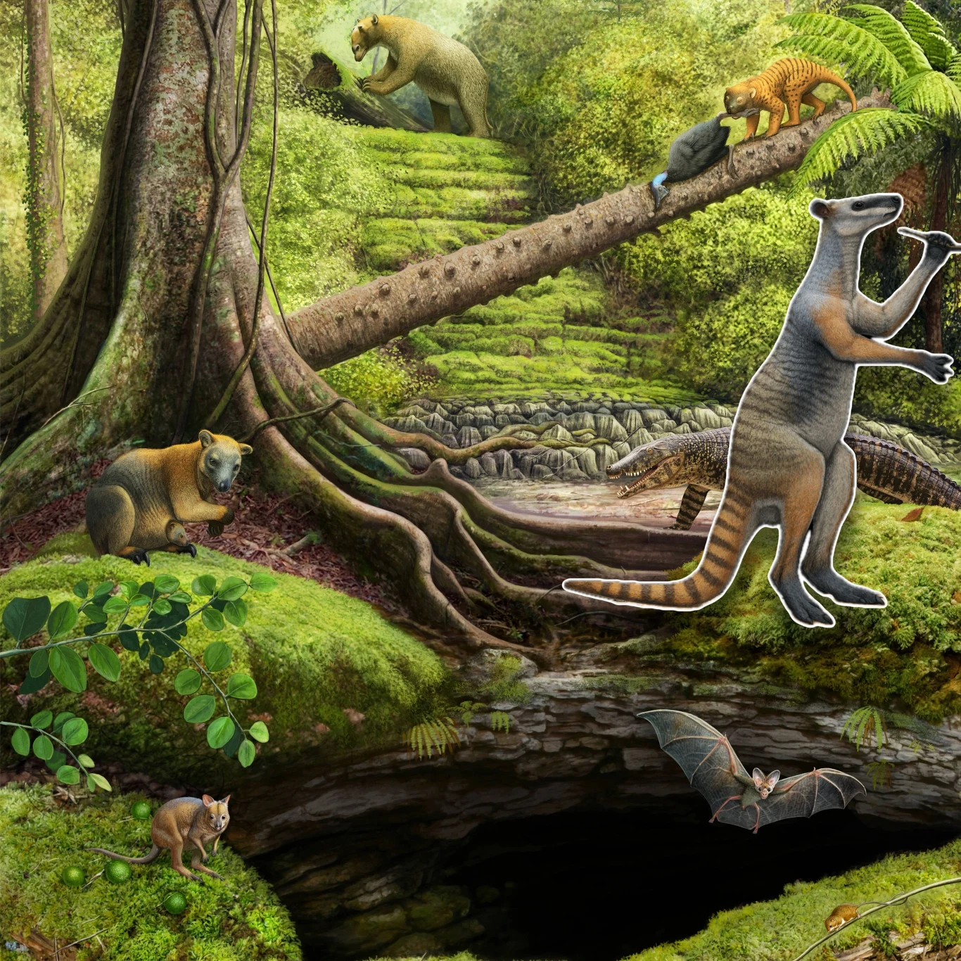 Prehistoryczny las deszczowy z różnorodnymi zwierzętami jak kangur, leniwiec olbrzymi, nietoperz i inne wymarłe stworzenia, przedstawione w naturalnym środowisku.