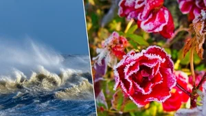 Pogoda zrobi się nieprzyjemna. Wyróżni się jeden dzień