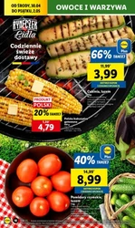 Tania majówka z Lidlem! 