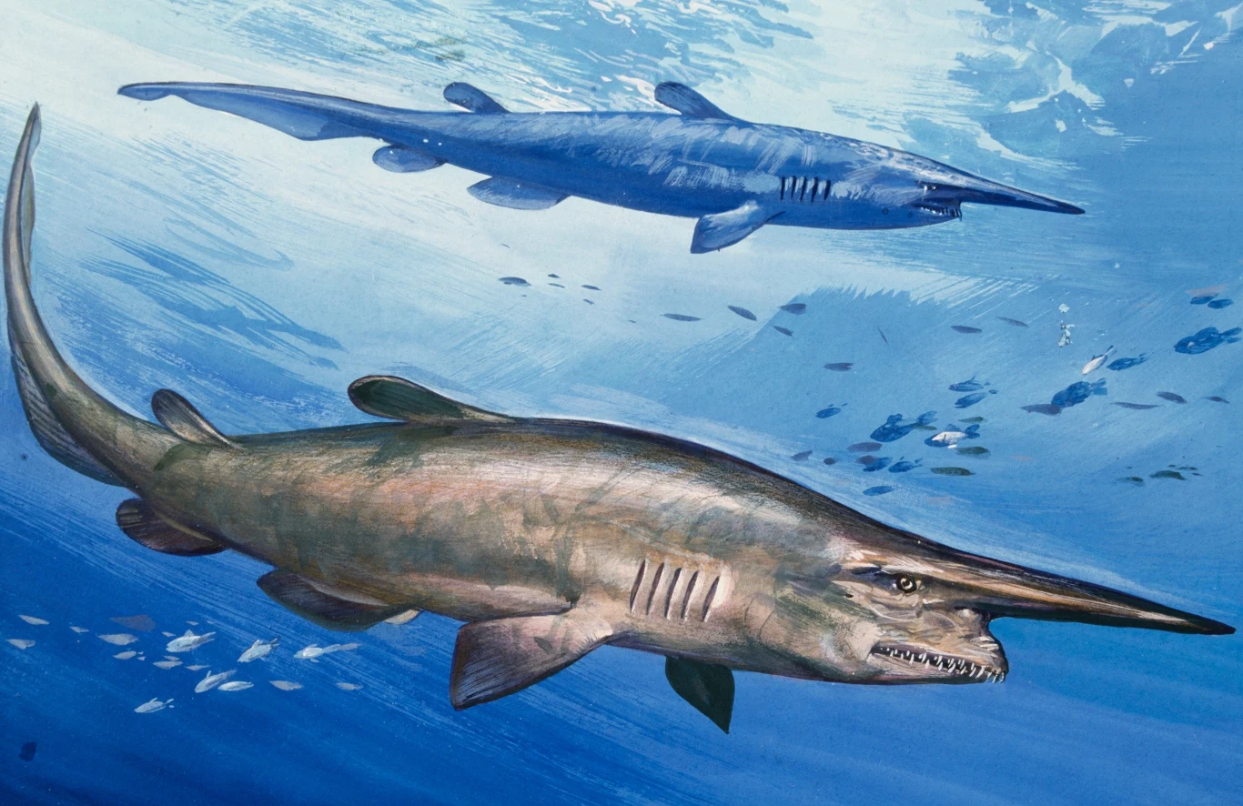 Dwie prehistoryczne ryby płynące w błękitnym oceanie, charakteryzujące się wydłużonymi pyskami i płetwami, otoczone ławicą mniejszych ryb w tle.