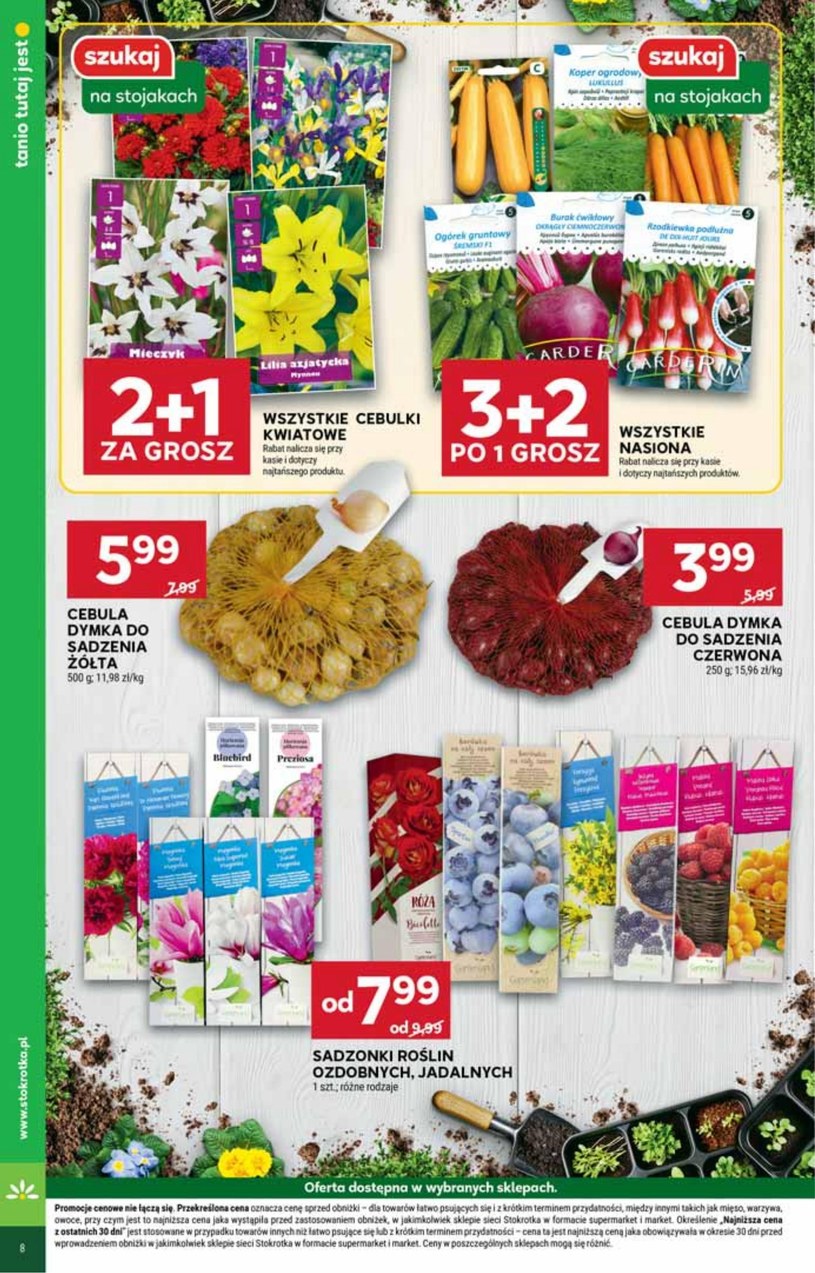 Stokrotka Supermarket