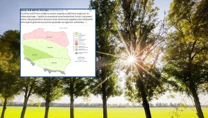 Niebo pełne błękitu, deszczu jak na lekarstwo. Nieco słabiej na północy