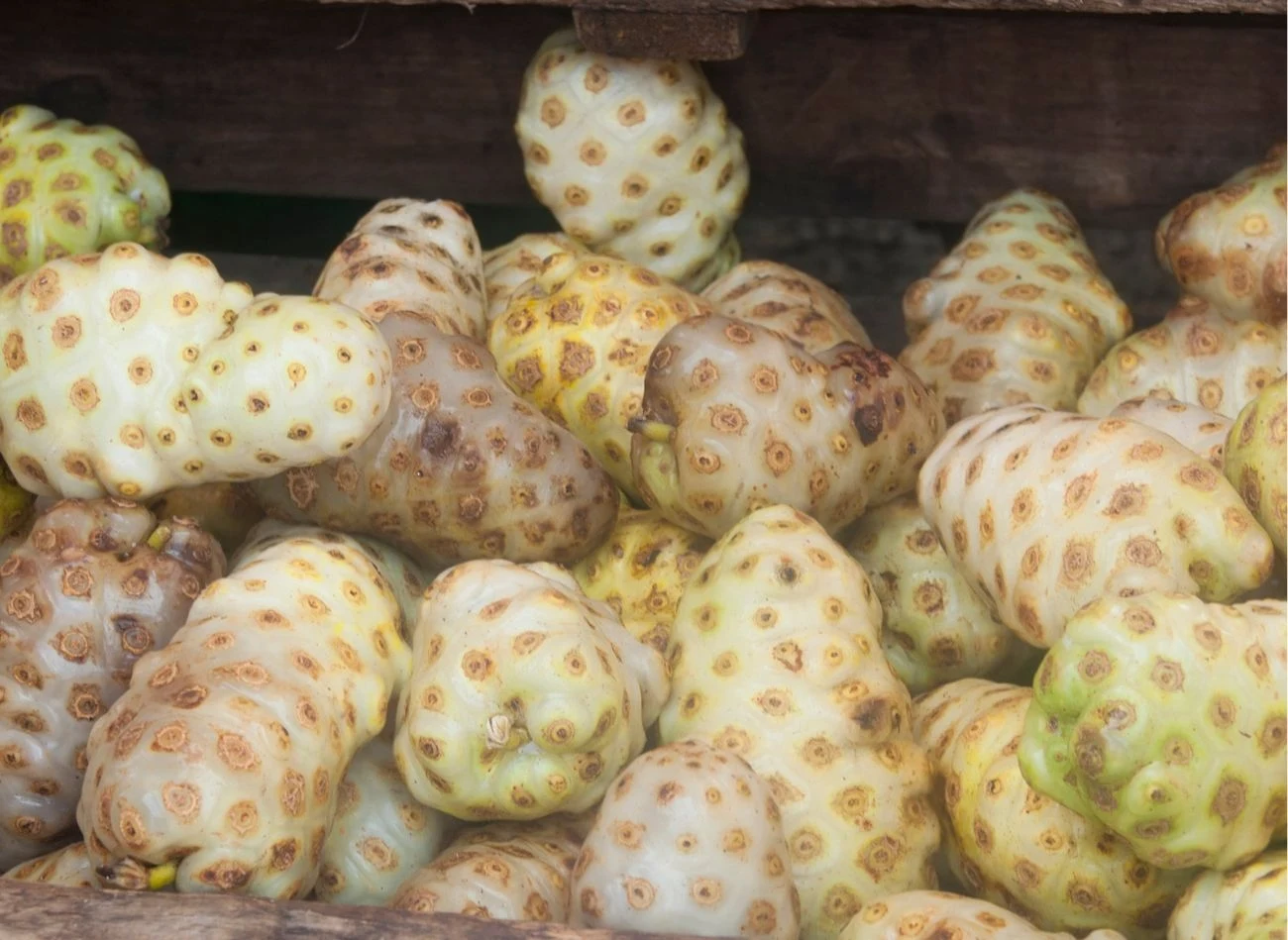 Owoce tego drzewa wspierają funkcjonowanie wątroby i układu odpornościowego. Owoce tego drzewa wspierają funkcjonowanie wątroby i układu odpornościowego.