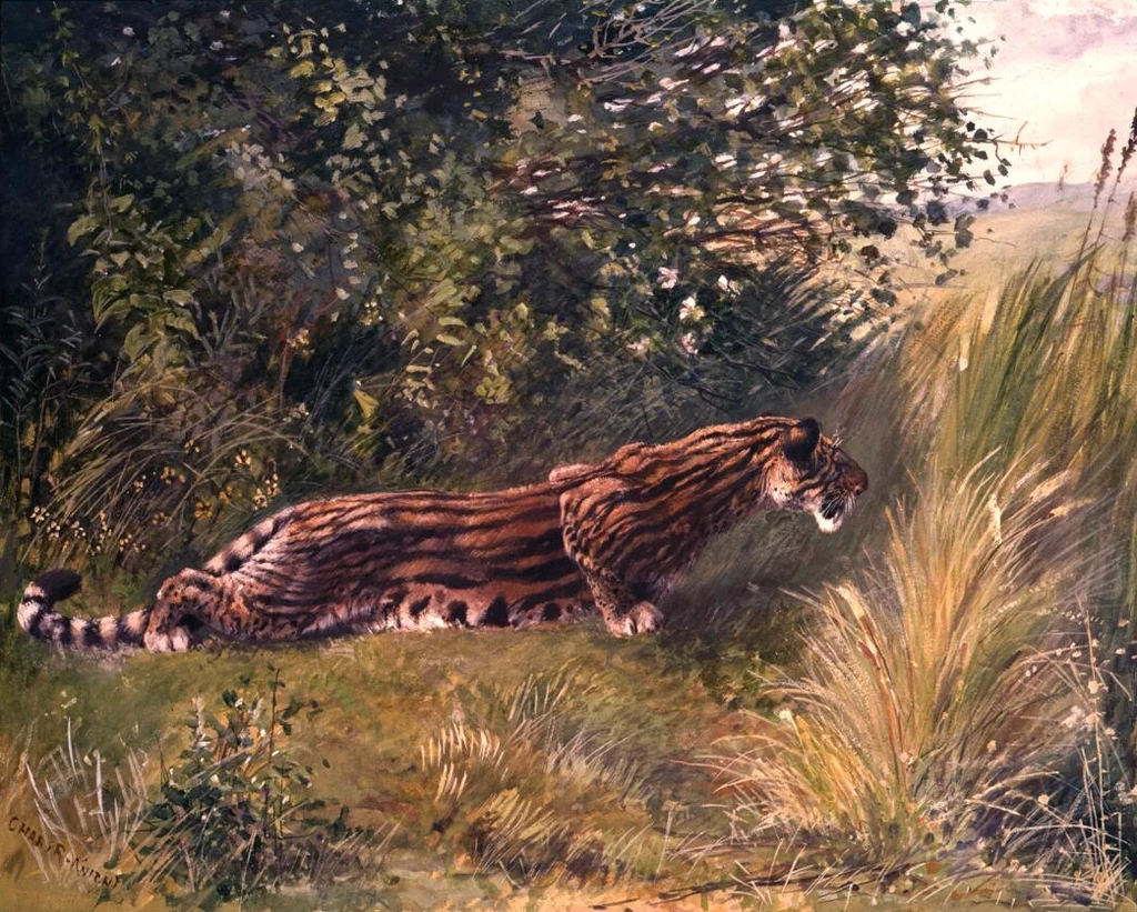 Hoplophoneus - fałszywy kot szablozębny z Ameryki Północnej Hoplophoneus - fałszywy kot szablozębny z Ameryki Północnej