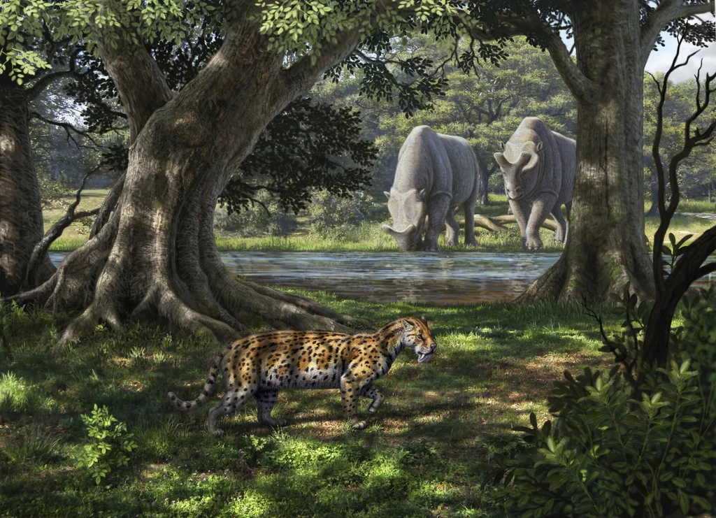 Hoplophoneus mentalis polował w Ameryce Północnej między 35 a 29 milionami lat Prehistoryczny krajobraz z tyranozaurem i parą dinozaurów przy strumieniu, otoczony gęstym lasem i bujną roślinnością. Zwierzęta są ukazane na tle imponujących drzew, co dodaje obrazowi realistyczności i dynamizmu.