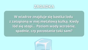 Zagadka na logiczne myślenie. Sprawdź, jak szybko jesteś w stanie myśleć