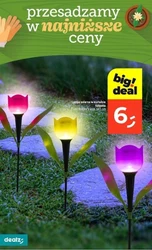 Dealz spragniony supercen! 