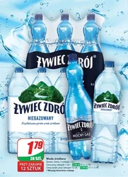 Majówka z Dino! 
