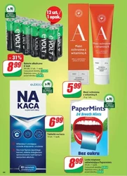 Majówka z Dino! 