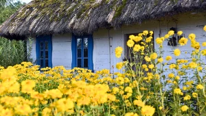 Znasz majowe przysłowia? Sprawdź, ile z nich pamiętasz