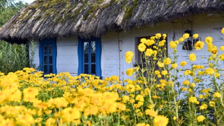 Nie każdy zna wszystkie majowe przysłowia 