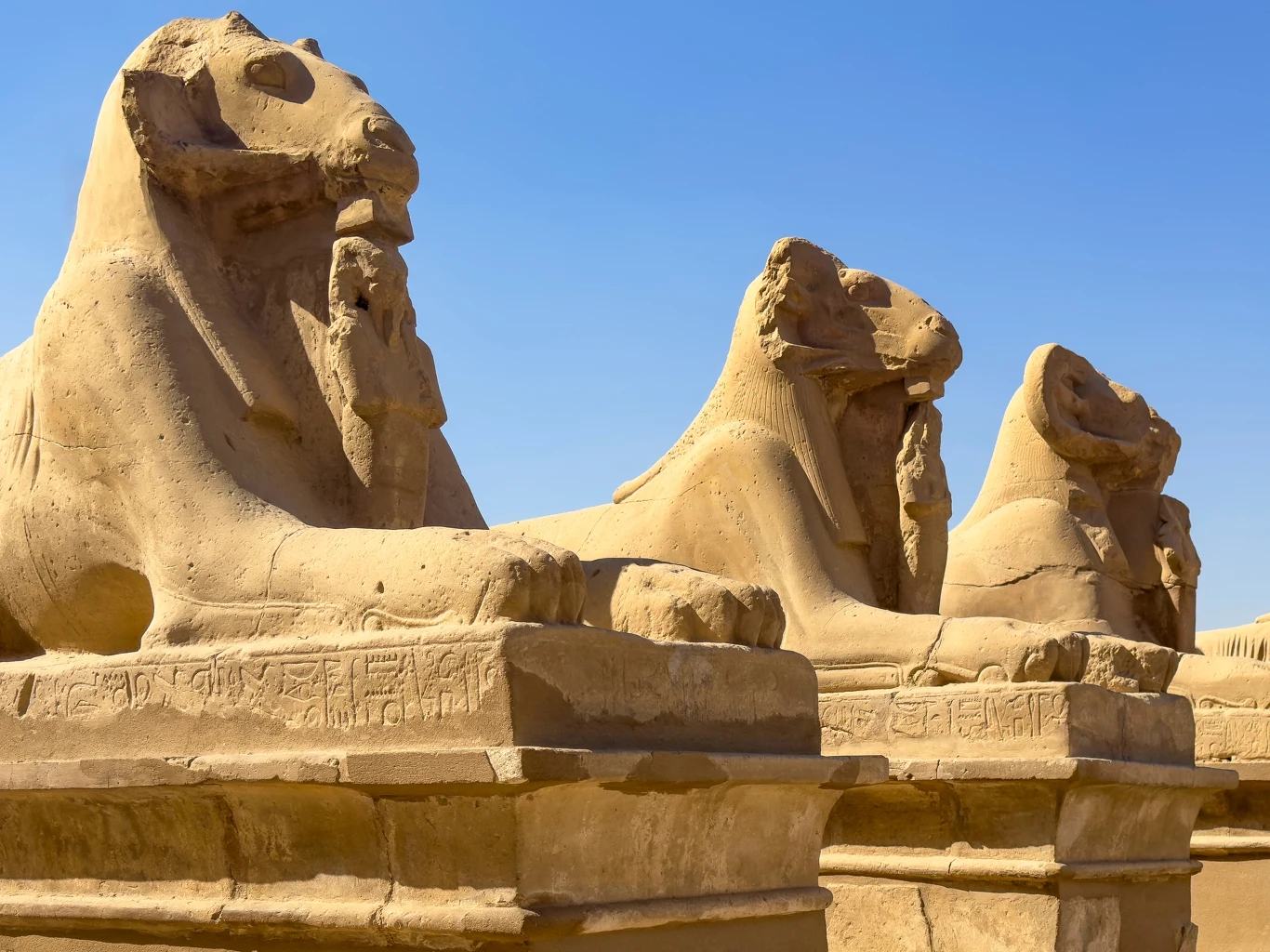 Rzeźby trzech kamiennych sfinksów ustawione w rzędzie, każdy z nich na masywnym postumencie. Sfinksy mają ciała lwa i ludzkie twarze, spoglądają w prawo. W tle bezchmurne, błękitne niebo.