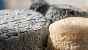 Genialna alternatywa twarogu. Serce, odporność i mózg będą działać za troje