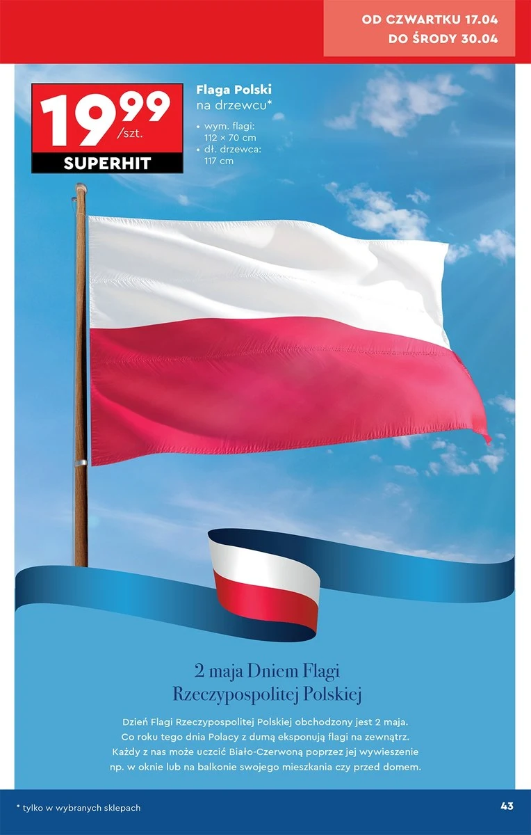Flaga Polski na drzewcu w Biedronce 