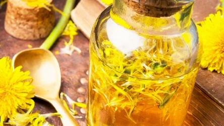 Syrop z mniszka to wszechstronne wsparcie w infekcjach górnych dróg oddechowych.